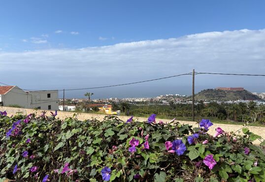 Herrliche Finca mitten im Orotavatal