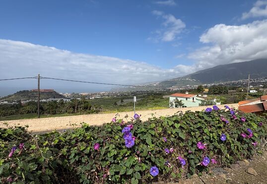 Herrliche Finca mitten im Orotavatal